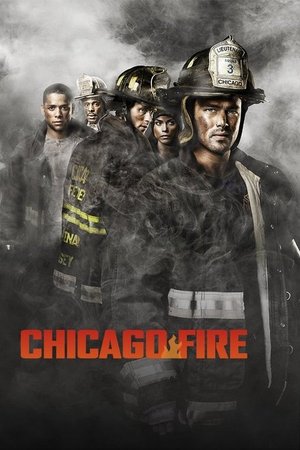 Chicago Fire S10 COMPLETED