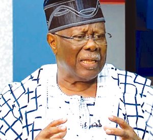 2027: We won’t accept stories of glitch in system – Bode George tells INEC chair
