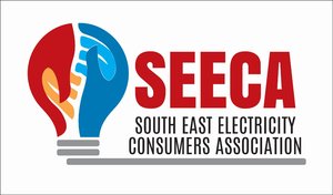‘South-East losing billions of Naira to electricity crisis’ – SEECA charges govs on generation