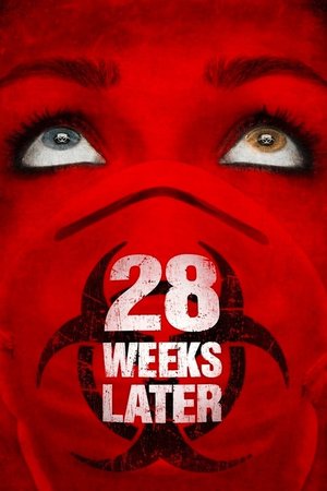 28 Weeks Later (2007) Free Movie Download