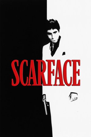 Scarface (1983) – Hollywood Movie Download
