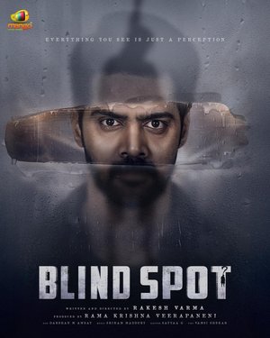 MOVIE: Blind Spot (2025) – Bollywood Movie