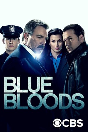 Blue Bloods Season 1 – 8 (Complete) Series Download
