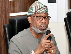 Nigerian govt orders closure of Plateau mining site after death of 37 miners