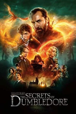 MOVIE: Fantastic Beasts: The Secrets of Dumbledore (2022)