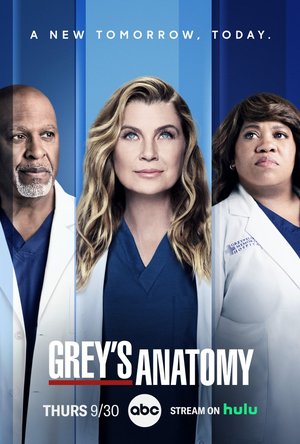 SERIES: Greys Anatomy Season 22 (Complete)