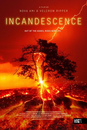 Incandescence (2024)