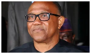 2027: Peter Obi coming at wrong time, can’t win – Ebonyi Senator