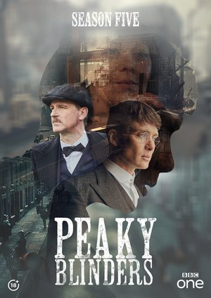 Peaky Blinders Season 5 Series Download