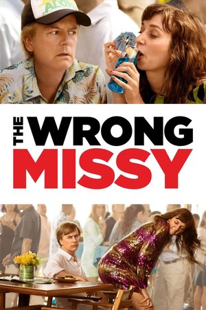 Movie: The Wrong Missy 2020