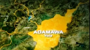 Adamawa govt clarifies delay, warns against fake civil service appointment letters
