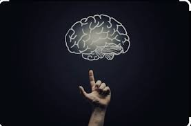 Understanding How Our Minds Make Choices: The Science of Decision-Making