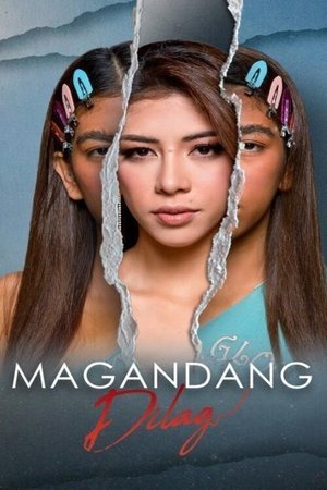 SERIES: Beautiful Revenge Season 1 (Complete) (Filipino Drama)